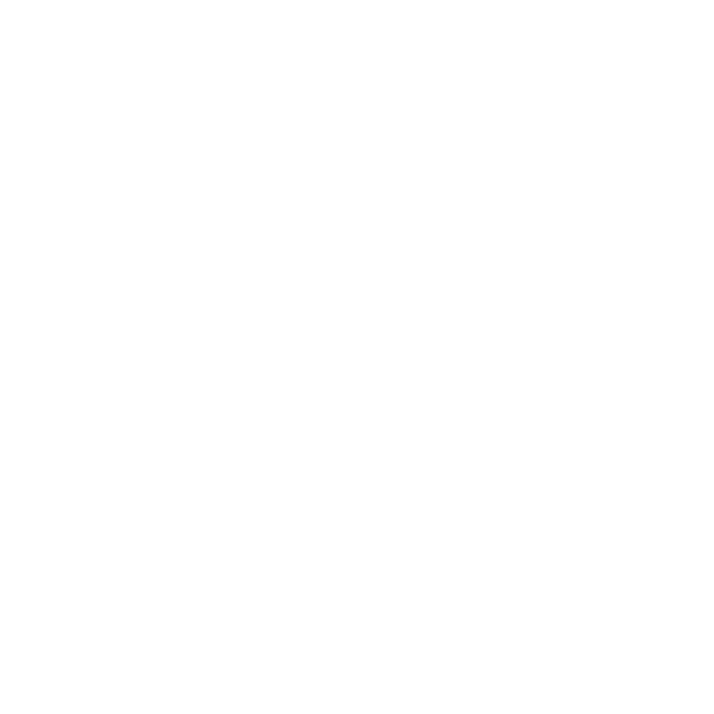 Megaphone icon